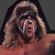 Illustration for article titled The Ultimate Warriors Rumored Death